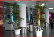 Eventos - Terminal Sansouci