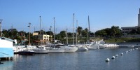 Marinita 041